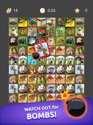 Screenshot 19