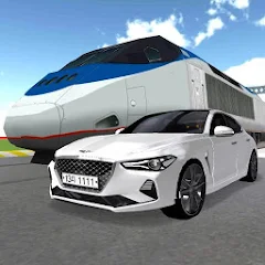 Simulation